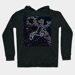 Bird View Hoodie